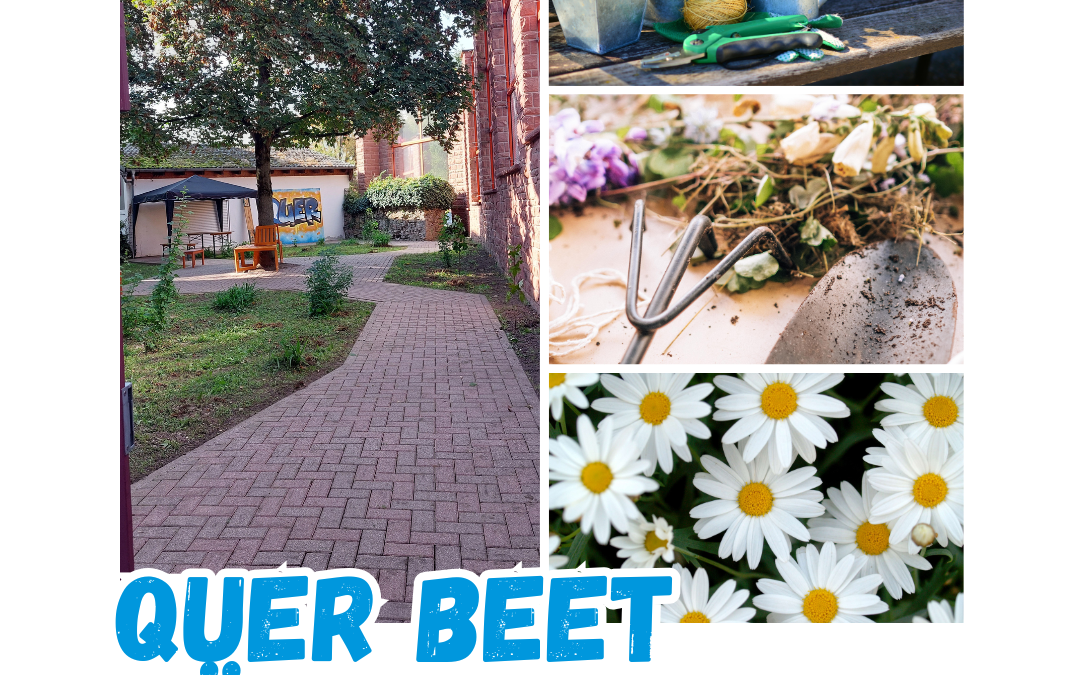 Quer Beet Gärtnerzeit