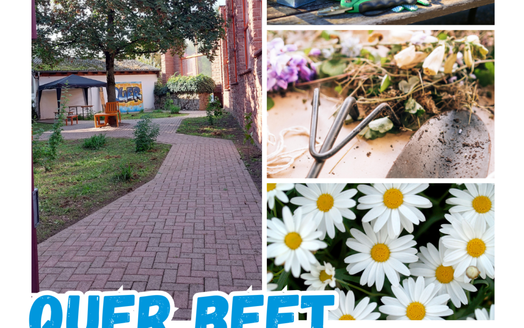 Quer Beet Gärtnerzeit