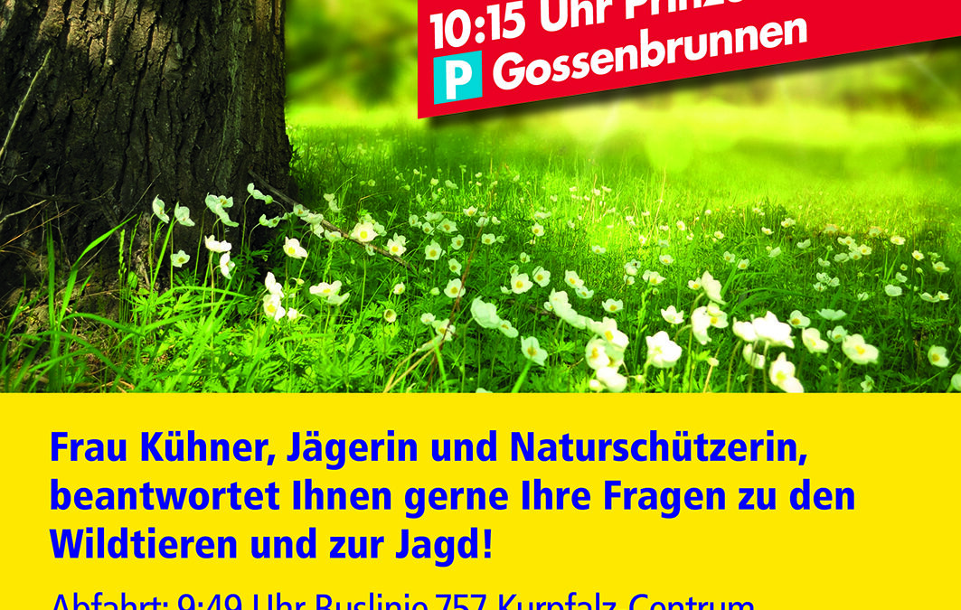 Waldwanderung mit Anita Kühner | Lokale Agenda Leimen