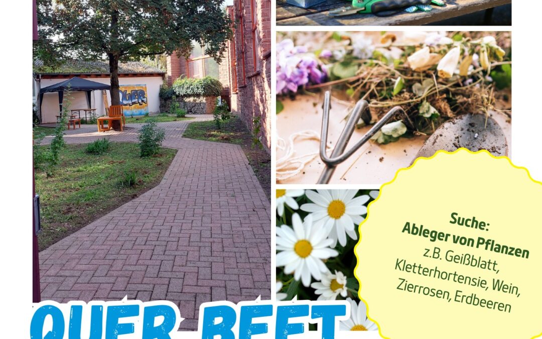 Plakat mit dem Titel „QUER BEET Gärtnerzeit – immer mittwochs“. Links ist ein begrünter Innenhof mit gepflastertem Weg, jungen Pflanzen, einem Baum sowie Sitzgelegenheiten vor einer Backsteinmauer zu sehen. Rechts zeigen drei Fotos blühende Pflanzen und Gartengeräte, Gartenabfälle sowie weiße Gänseblümchen. In einem gelben Kreis steht: „Suche: Ableger von Pflanzen, z. B. Geißblatt, Kletterhortensie, Wein, Zierrosen, Erdbeeren.“ Unten informiert der Text: „Ab 14 Uhr treffen wir uns am Quer Beet in der Klostergasse. Gemeinsam graben, pflanzen und gestalten wir ein grünes Stück Leimen – und freuen uns über alle, die mitmachen wollen!“ Oben befinden sich die Logos von QUER – Quartier erleben, der Stadt Leimen und des HEBEDI-Projekts sowie Kontaktinformationen des Quartiersmanagements.